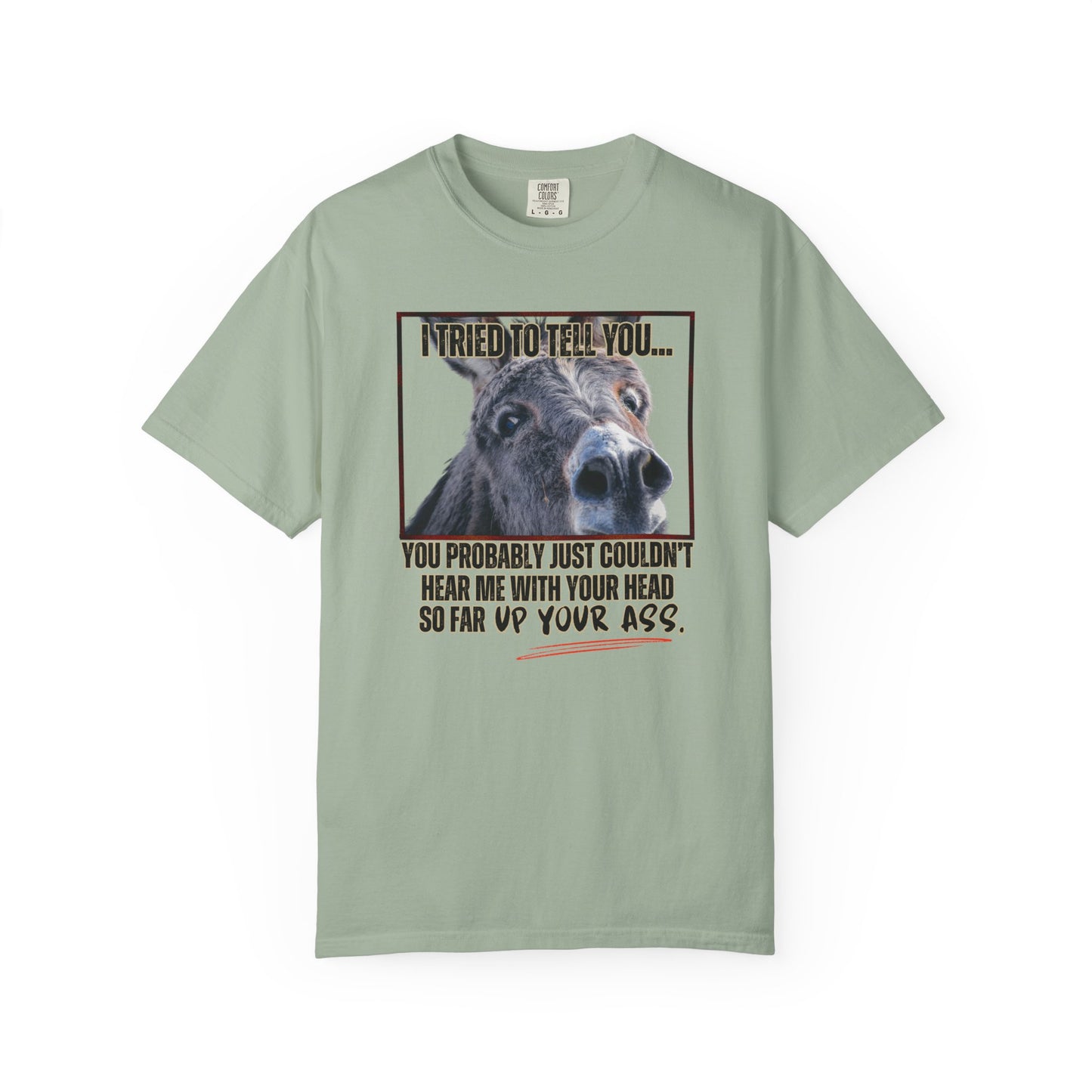 Comfort Colors Donkey Graphic T-Shirt — "I Tried to Tell You... You Probably Just Couldn't Hear Me" Funny Farmer Tee