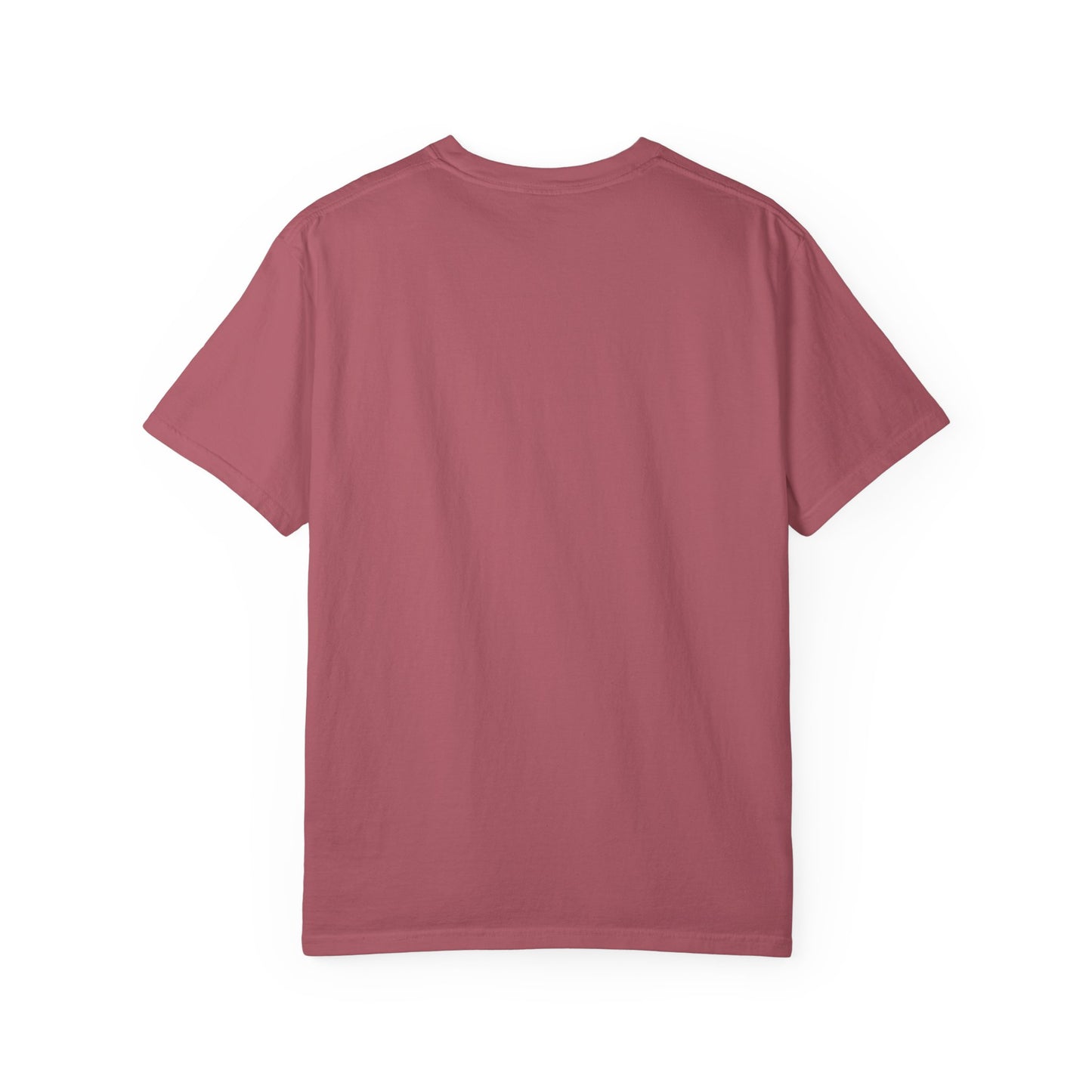 Comfort Colors Horse Lover T-Shirt — "It's Not Hoarding, I Just Want One in Every Color" Graphic Tee