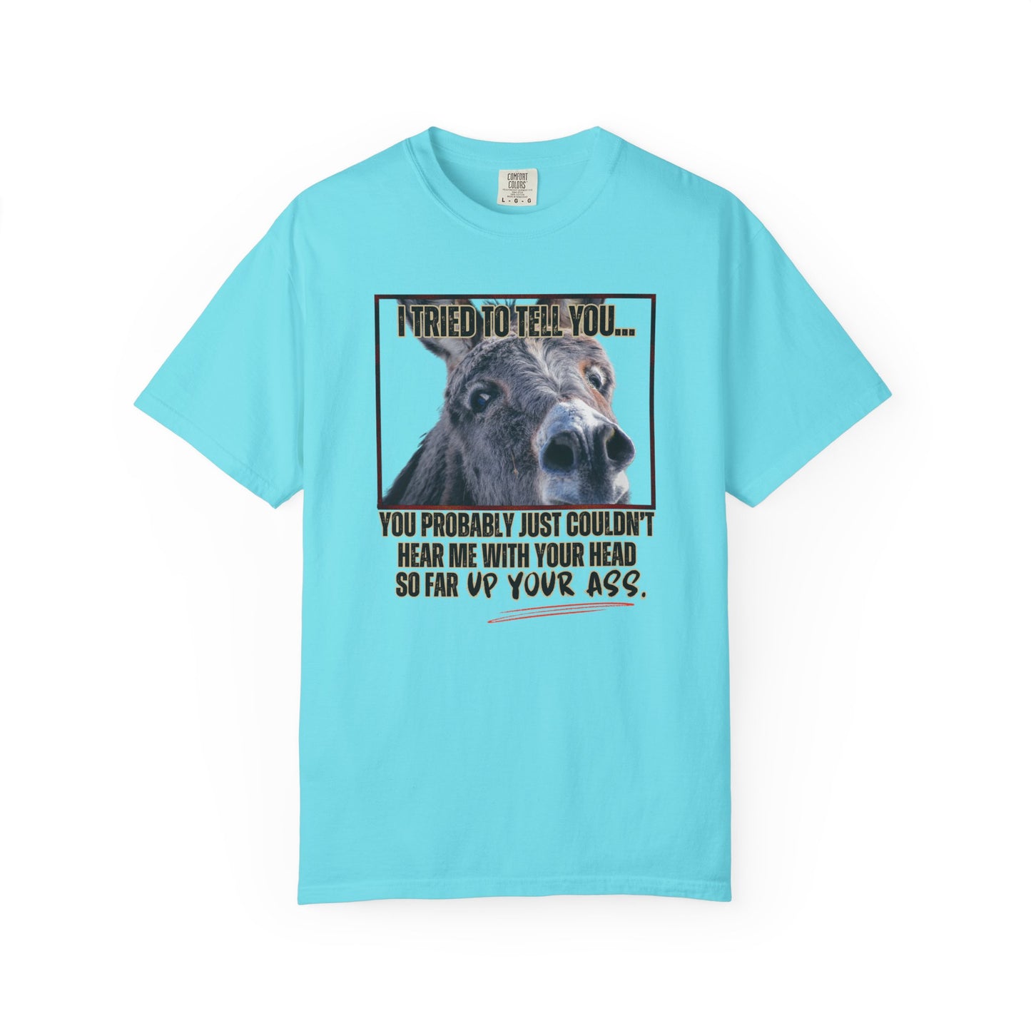 Comfort Colors Donkey Graphic T-Shirt — "I Tried to Tell You... You Probably Just Couldn't Hear Me" Funny Farmer Tee