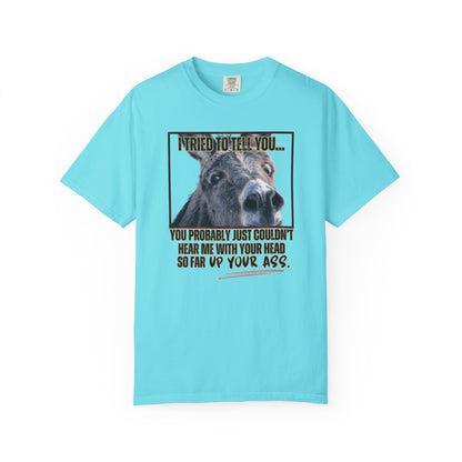 Comfort Colors Donkey Graphic T-Shirt — "I Tried to Tell You... You Probably Just Couldn't Hear Me" Funny Farmer Tee