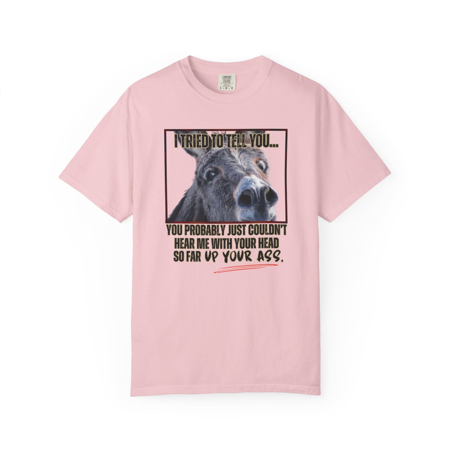 Comfort Colors Donkey Graphic T-Shirt — "I Tried to Tell You... You Probably Just Couldn't Hear Me" Funny Farmer Tee