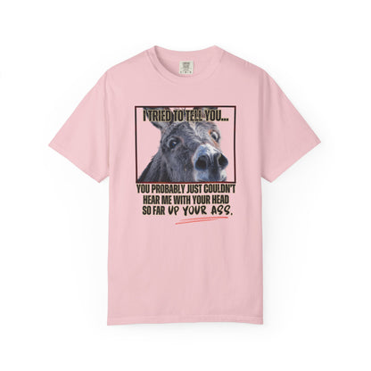Comfort Colors Donkey Graphic T-Shirt — "I Tried to Tell You... You Probably Just Couldn't Hear Me" Funny Farmer Tee
