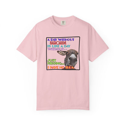 Comfort Colors Donkey T-Shirt — "A Day Without Sarcasm Is Like-- Just kidding. I have no idea." Graphic Tee