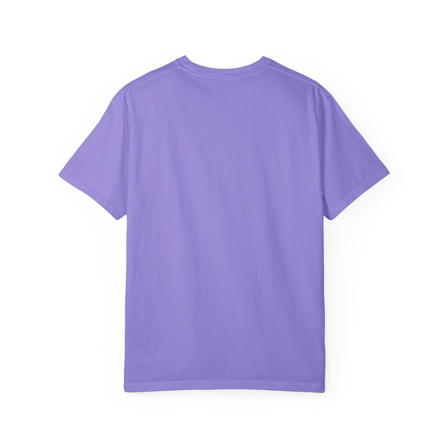 Comfort Colors Horse and Cat Lovers T-Shirt — “Equines and Felines” Cute Graphic Tee